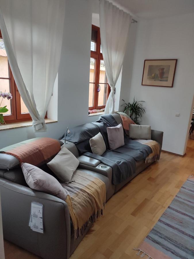 Retro House Mountain View Villa Brasov Ngoại thất bức ảnh