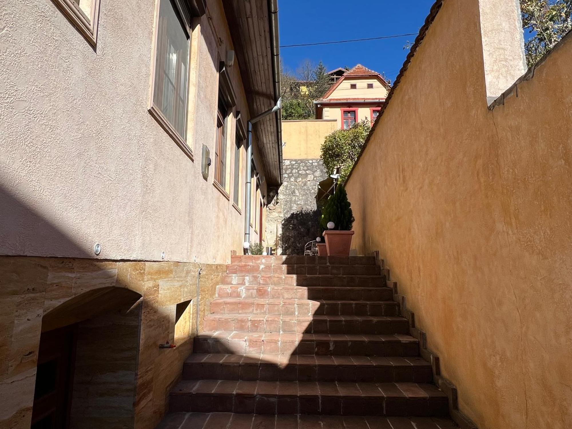 Retro House Mountain View Villa Brasov Ngoại thất bức ảnh